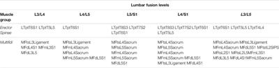 Biomechanical Evaluation of the Effect of Minimally Invasive Spine Surgery Compared with Traditional Approaches in Lifting Tasks